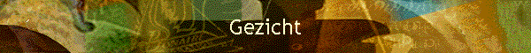 Gezicht